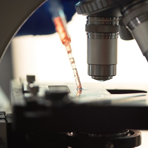 Synthetic Biology Brochure